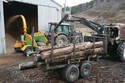The Forestry Commission supplies some wood fuel and is working with private growers