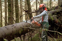 Kate Sheppard is completing an apprenticeship with Forestry Commission Scotland